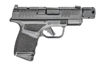 Picture of SPRINGFIELD HELLCAT
