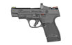 Picture of SMITH & WESSON M&P SHIELD PLUS PC