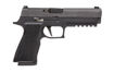 Picture of SIG SAUER XTEN