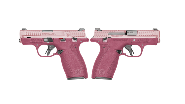 Picture of SMITH & WESSON BODYGUARD 2.0