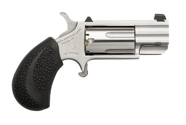 Picture of N. AMERICAN ARMS PUG